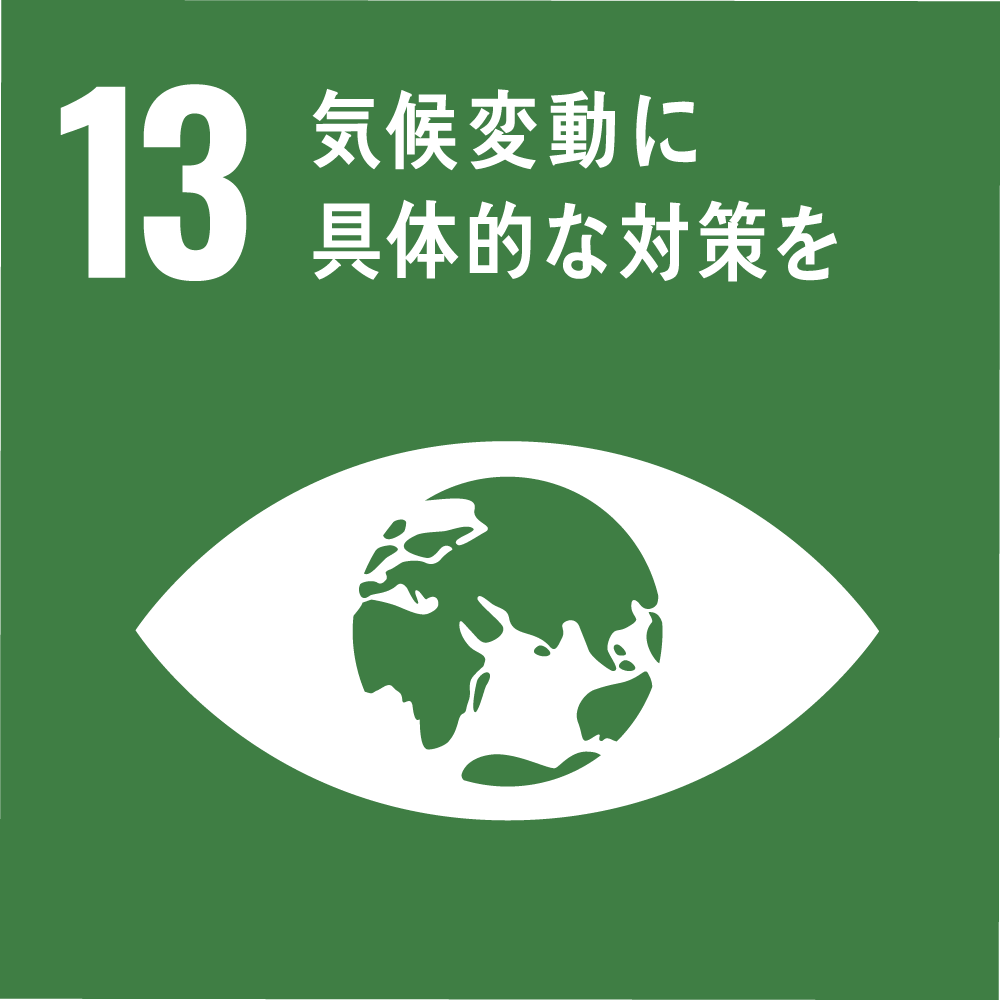 sdgs_icon_goal_13.png